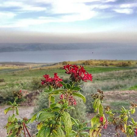 Sea Of Galilee Site Leilighet Chorazim Eksteriør bilde