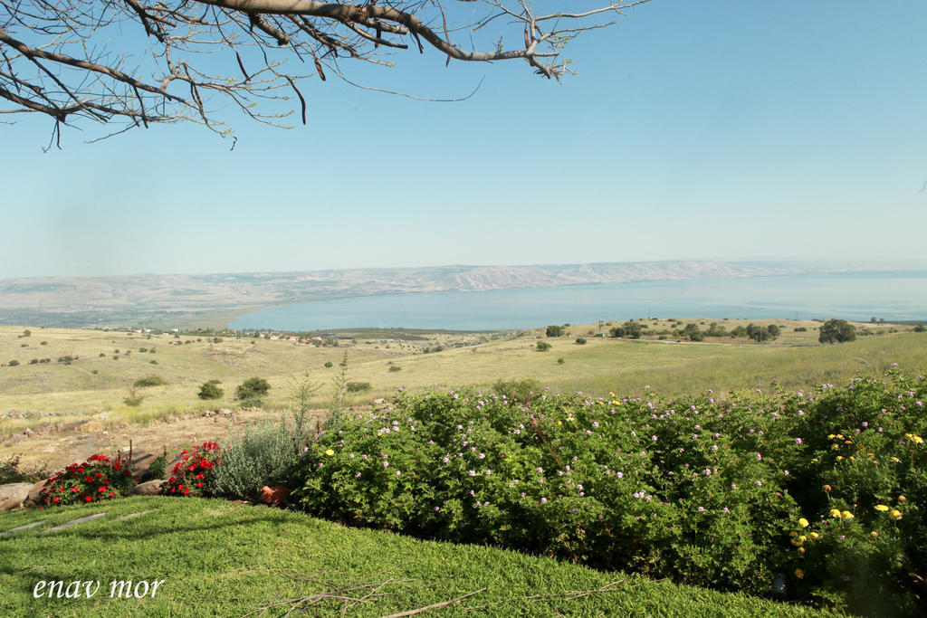 Sea Of Galilee Site Leilighet Chorazim Eksteriør bilde