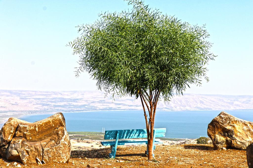 Sea Of Galilee Site Leilighet Chorazim Eksteriør bilde