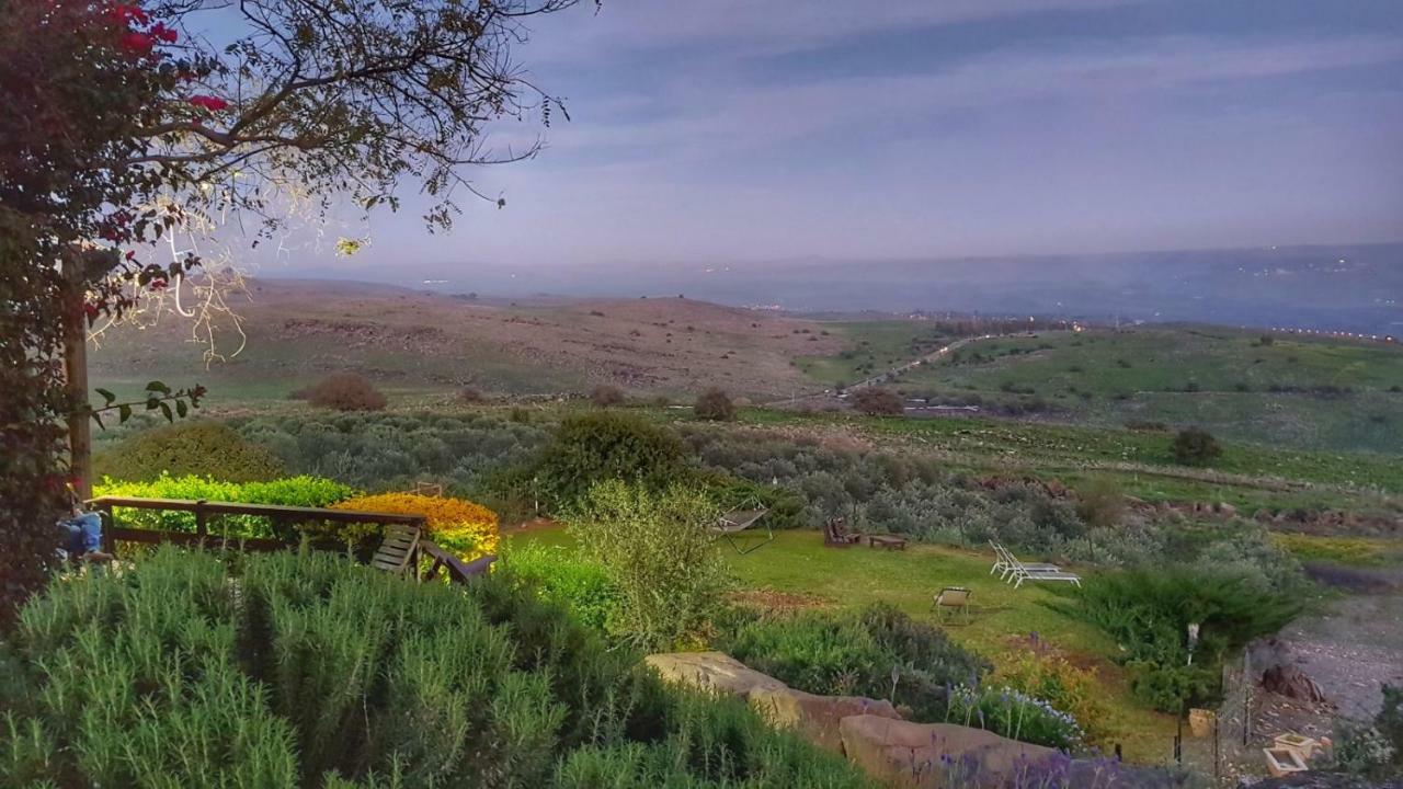Sea Of Galilee Site Leilighet Chorazim Eksteriør bilde